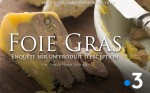 Poster of Foie gras, inquiry and stakes of a luxury product